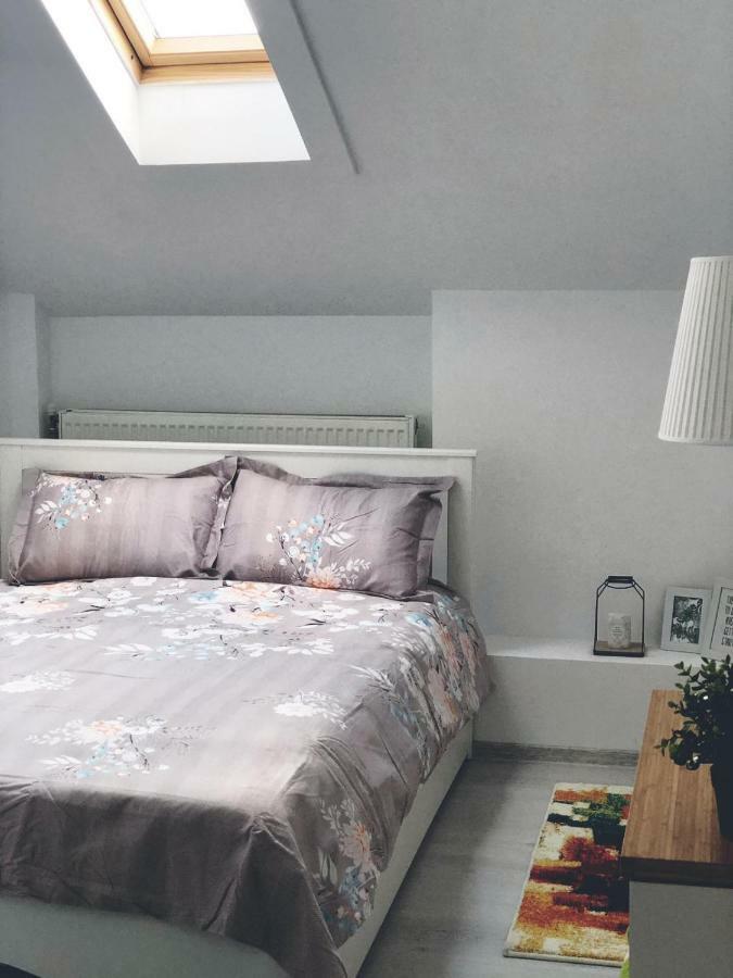 Studio Central Târgu Jiu Εξωτερικό φωτογραφία
